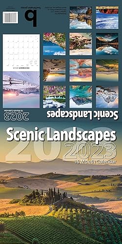 Miniatura 3 de Calendario de pared OCD de ganga septiembre de 2022 a diciembre de 2023, 16 meses, bloque sin rayas, papel grueso y resistente, hermoso estampado a