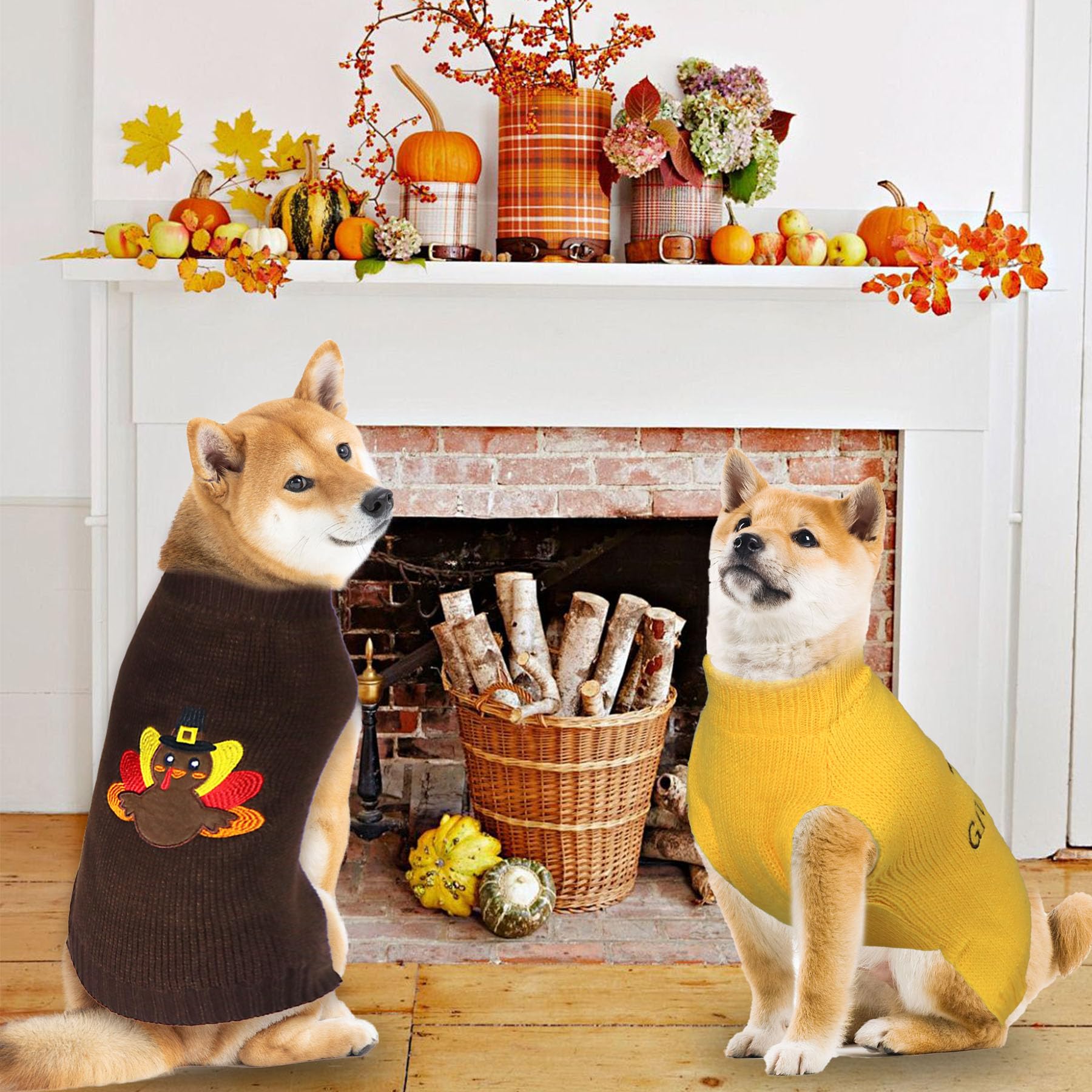 GOYOSWA 2 Pack Dog Thanksgiving Sweater, Knitted Thanksgiving Fall Holiday Dog Sweaters Outfit Clothes for Small Medium Large Dogs Pets (Dark Brown & Yellow, X-Large)