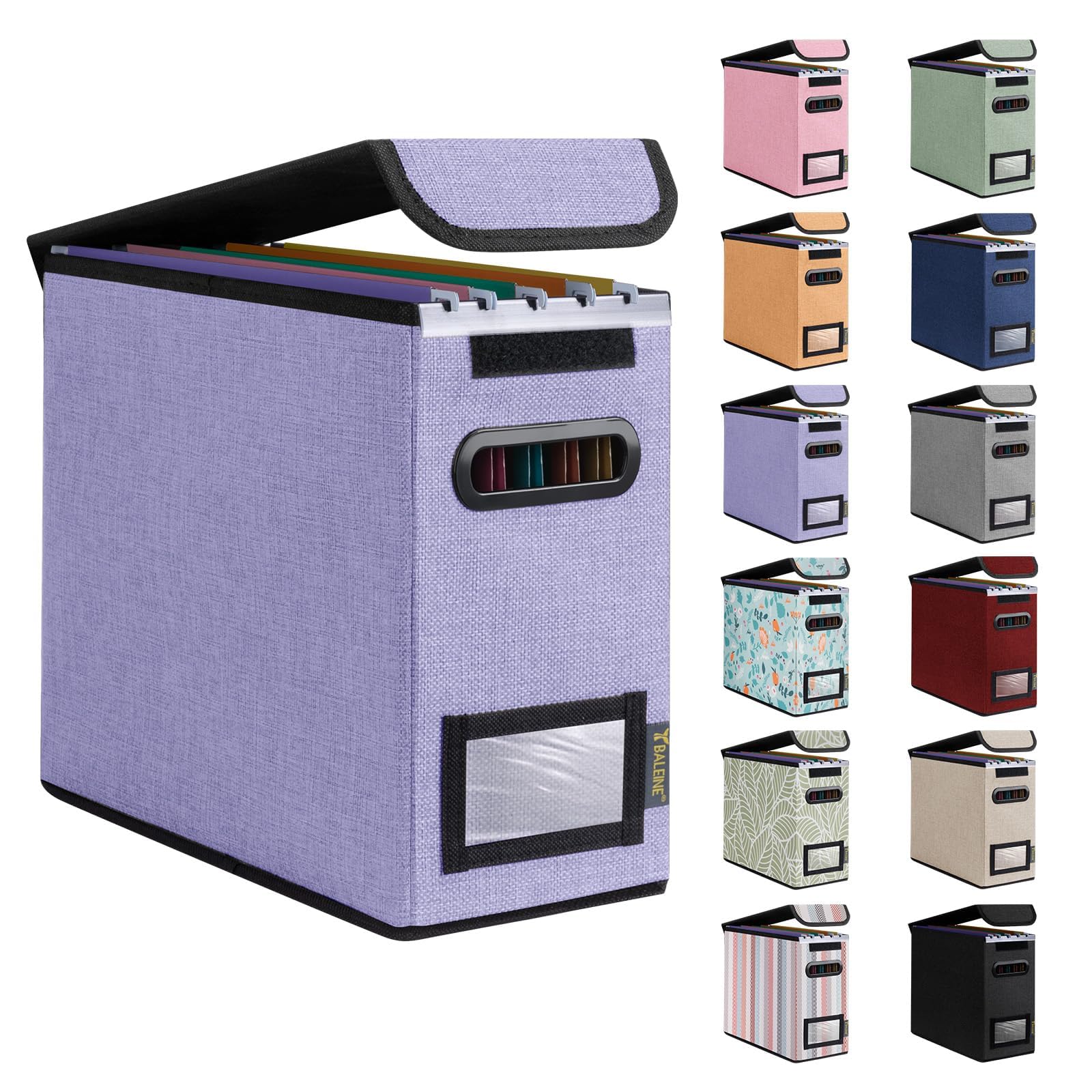 BALEINE File Organizer Box with Lid, Collapsible Hanging File Storage Box