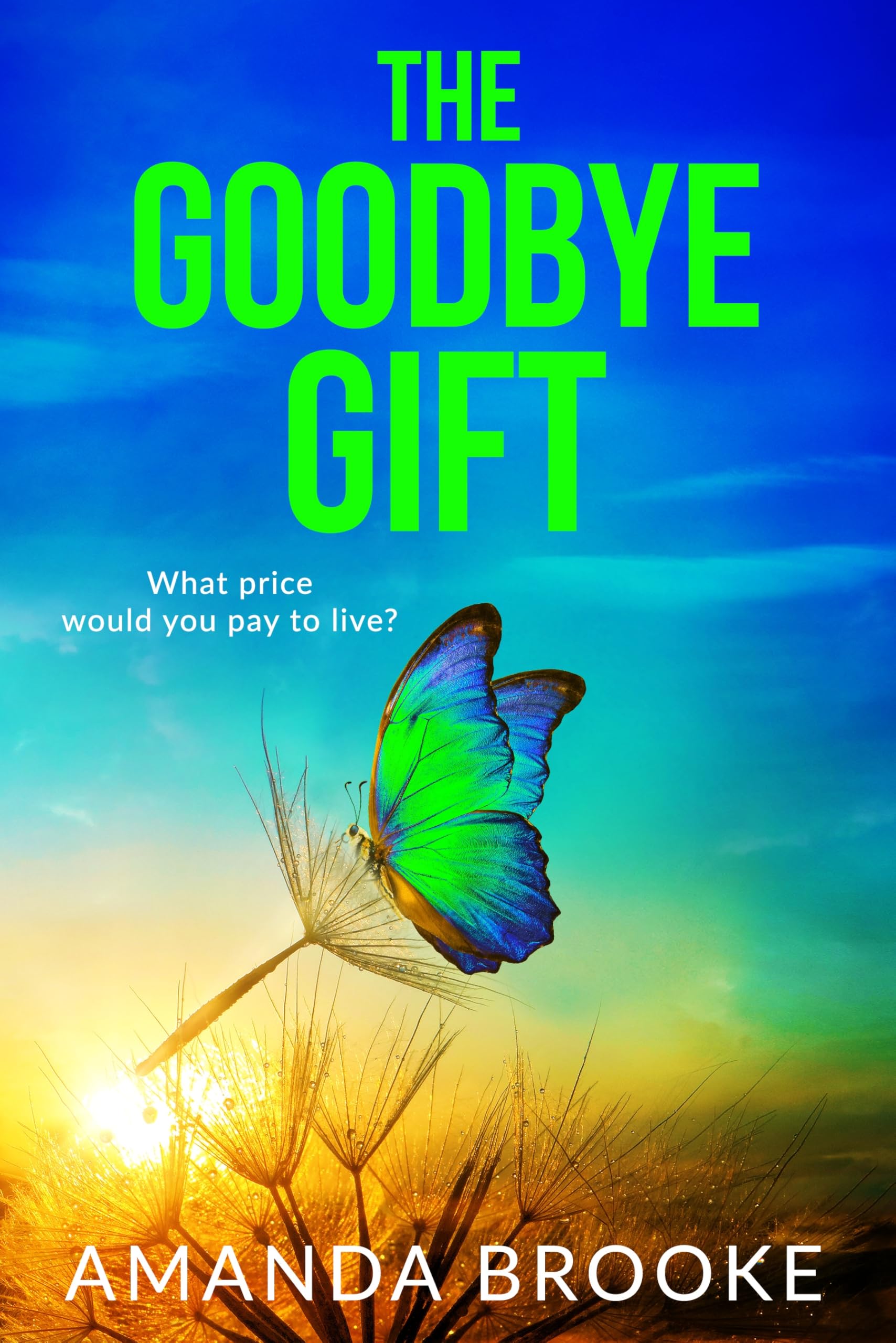 The Goodbye Gift: A heartbreaking story of friendship, sacrifice and one life-changing choice