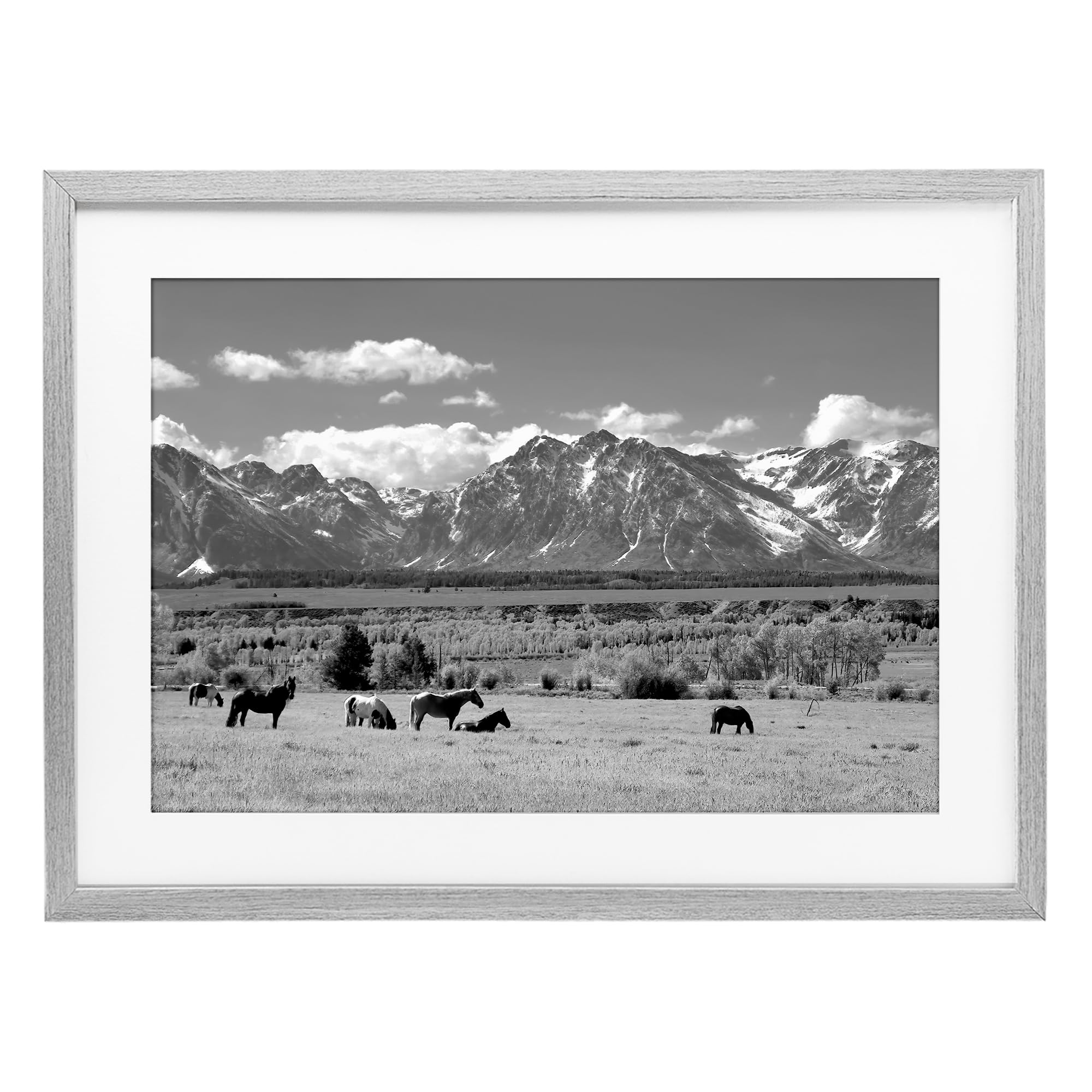 Stupell Industries 'Wyoming Ranch Horses Grazing', Framed Print Under Glass, Gray, 20 x 14 Inches, Easy to Hang and Sturdy, Made in USA, by Steve Toole