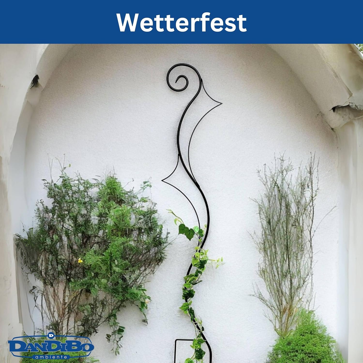 DanDiBo Support pour Plantes grimpantes Riva Treillis en métal H-148cm L-30cm Support pour Plantes grimpantes insérer dans Le Sol — vue 6
