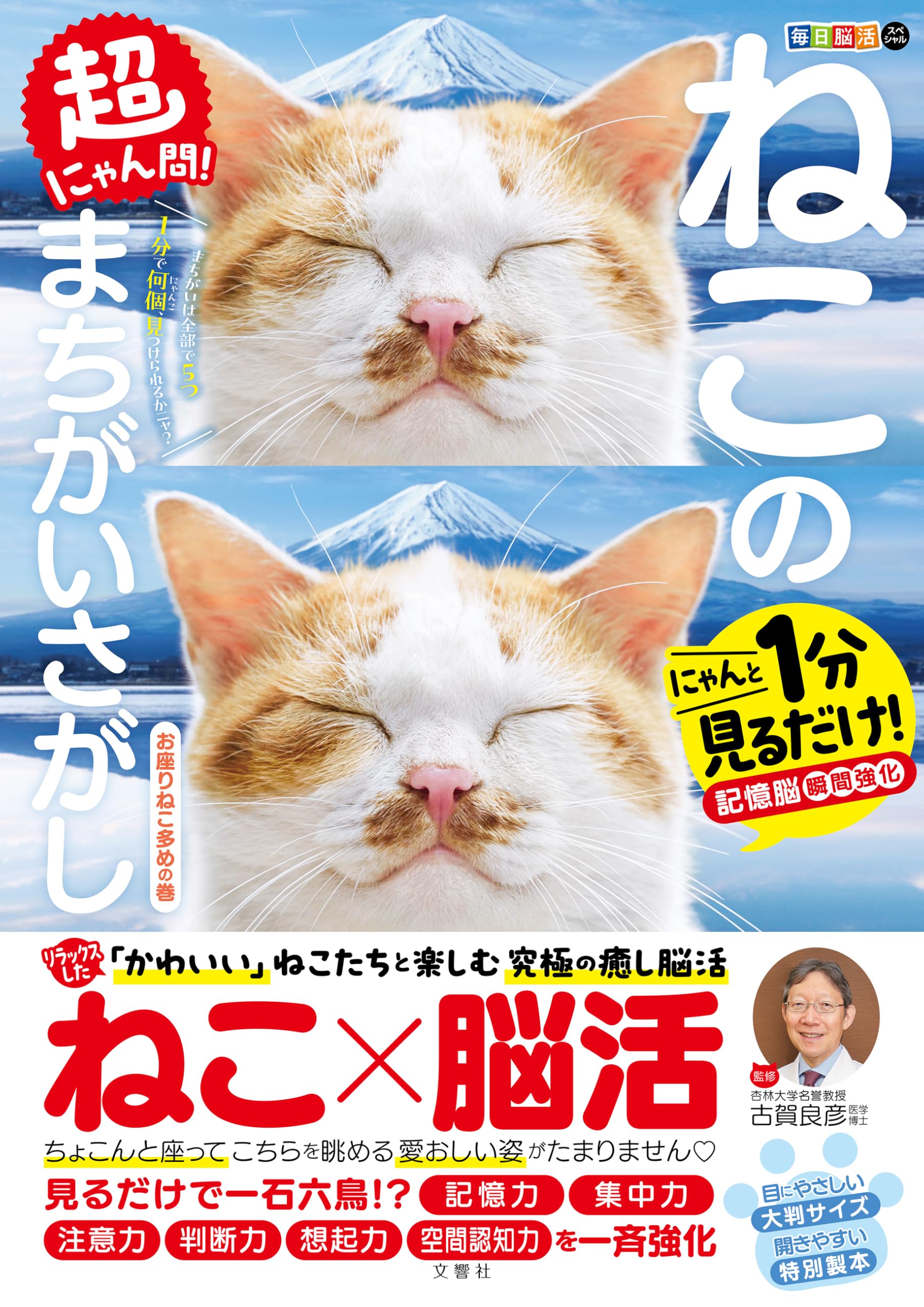 毎日脳活スペシャル 超にゃん問！ ねこのまちがいさがし お座りねこ