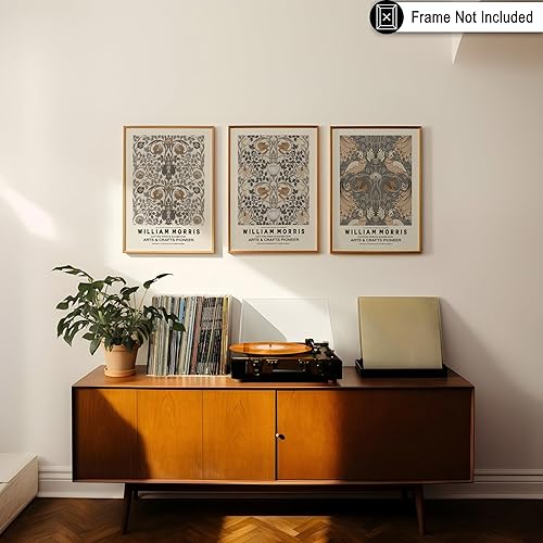 Miniatura 6 de Poster Master Póster vintage de William Morris de 3 piezas, estampado retro Art Nouveau, patrones botánicos, florales, pavo real, arte de pared sin