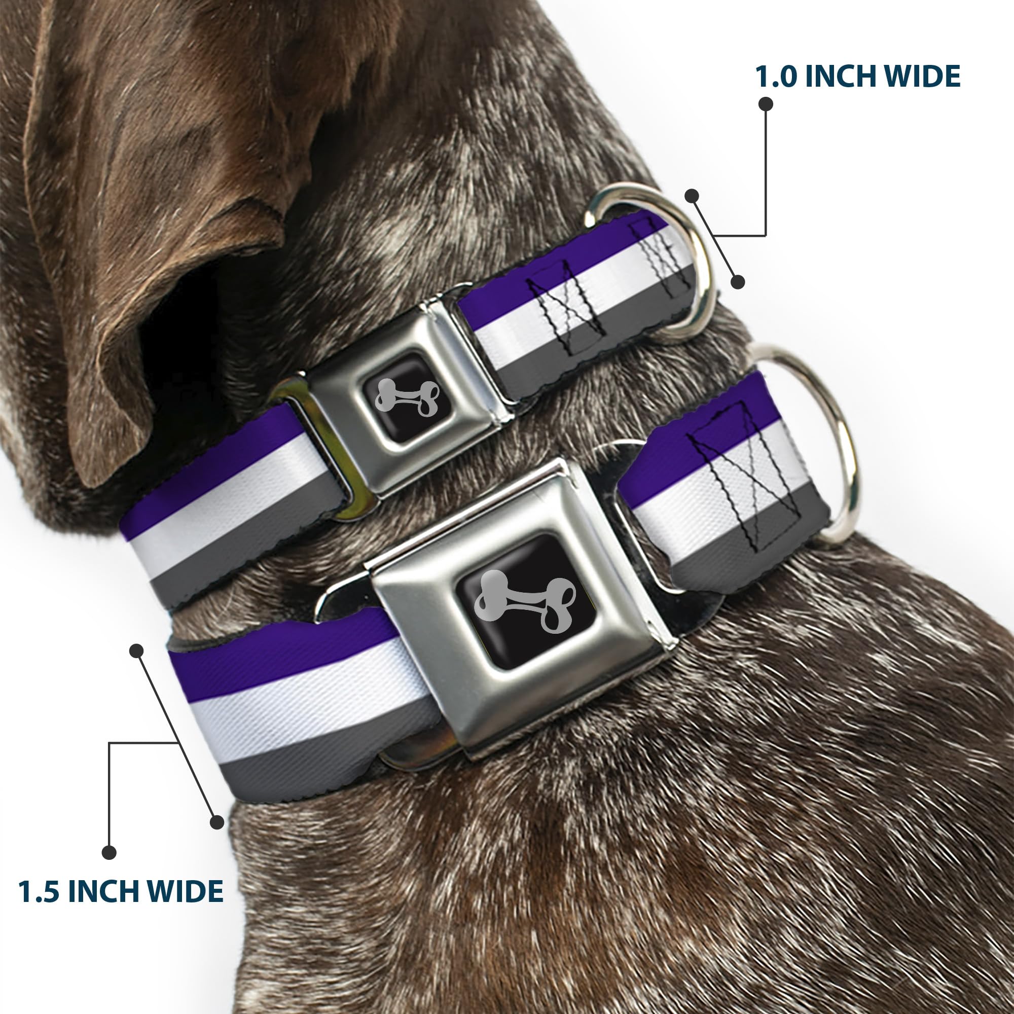 Buckle-Down Obroża dla psa z klamrą pasa bezpieczeństwa - paski fioletowe/białe/szare - szerokość 3,8 cm - pasuje na szyję 40-58 cm - rozmiar M