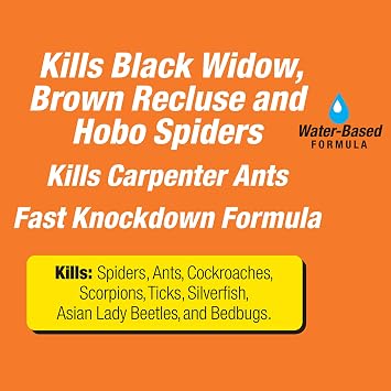 TERRO T2302-6 Spider Killer Spray for Indoors and Outdoors - Kills Spiders, Ants, Roaches, Scorpions, Ticks, Silverfish, and Other Insects