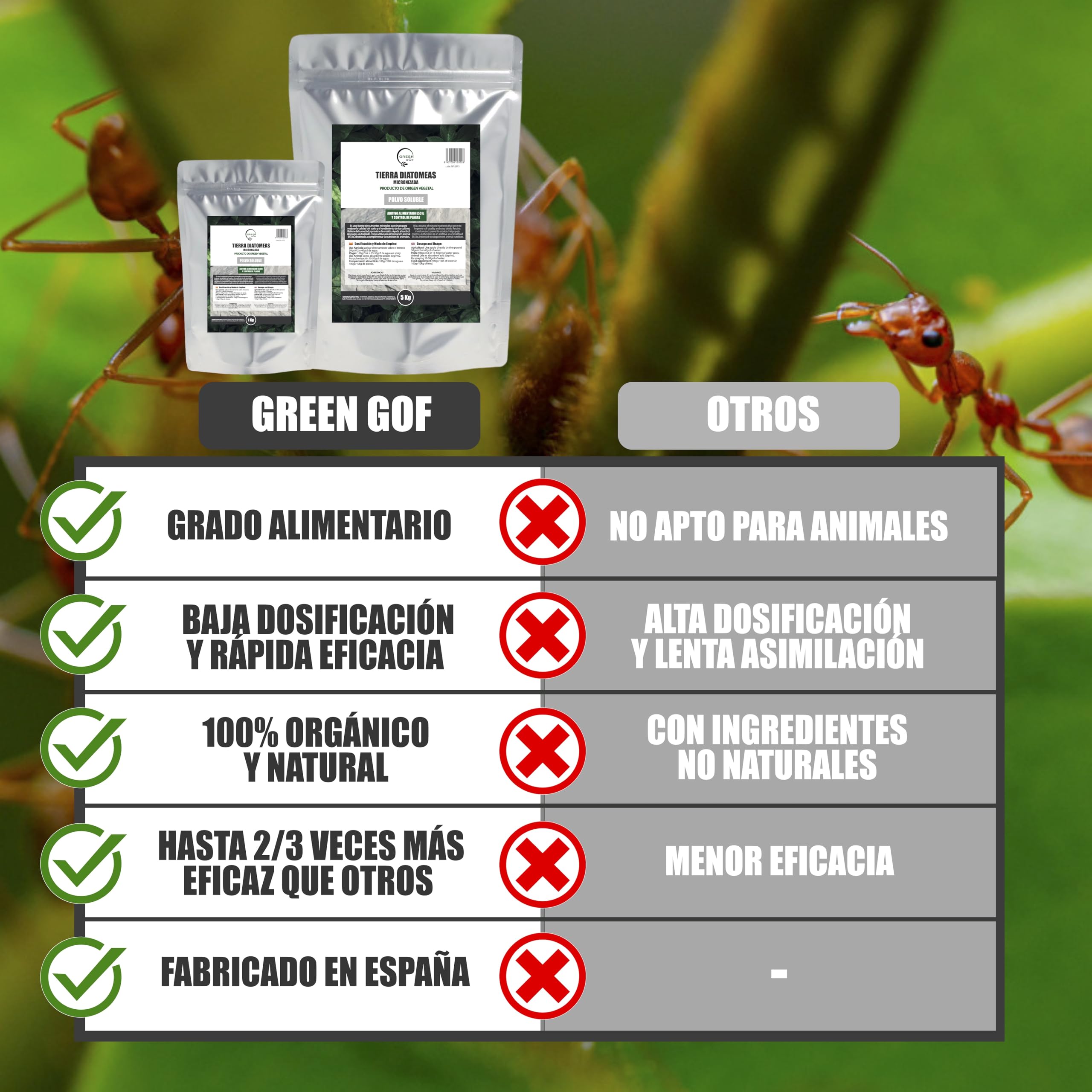 GREENGOF Tierra de Diatomeas Micronizada 1Kg - 100% Natural - Aditivo Alimenticio Animal E551c - No calcinada - Alta Pureza - Sin tratamientos ni residuos. Uso en Agricultura, Jardín y Animales.