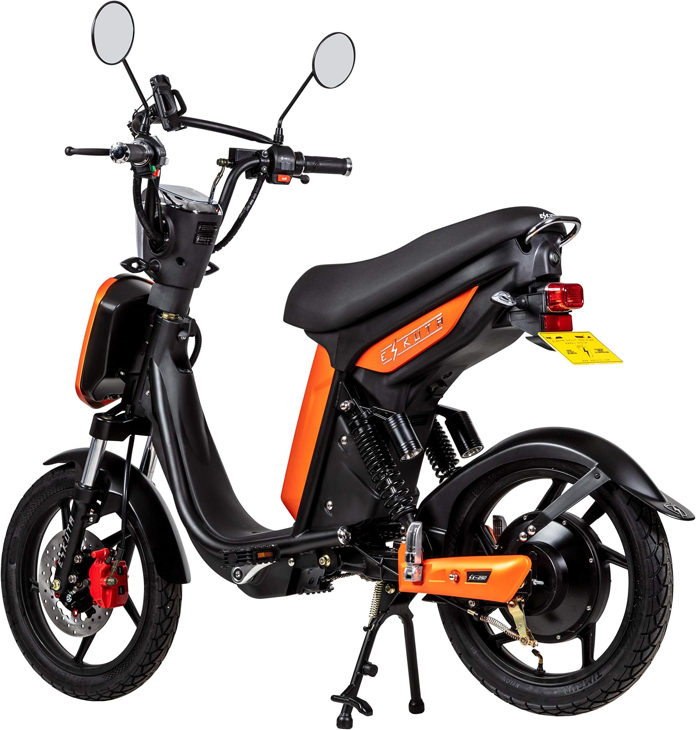 EAPC Electric Bike with Robust Powerful Brushless Motor, Pedal Assist, Rapid Charging, Zero Emissions for 100% Clean & Maintenance-Free Transport