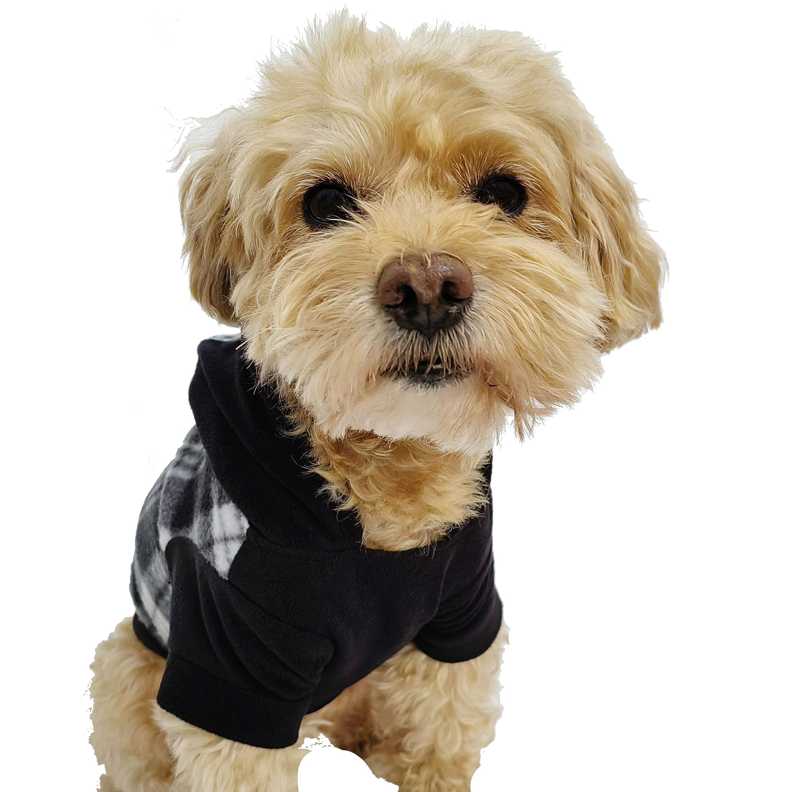 Plaid Dog Hoodie Pet Fleece Sweater Winter Coat with Hat for Small Dogs Cats Classic Plaid Pet Clothes Puppy Pullover, Ideal Gifts for Holiday Christmas (Medium, PACK of 2 Black and Red Small Plaid)