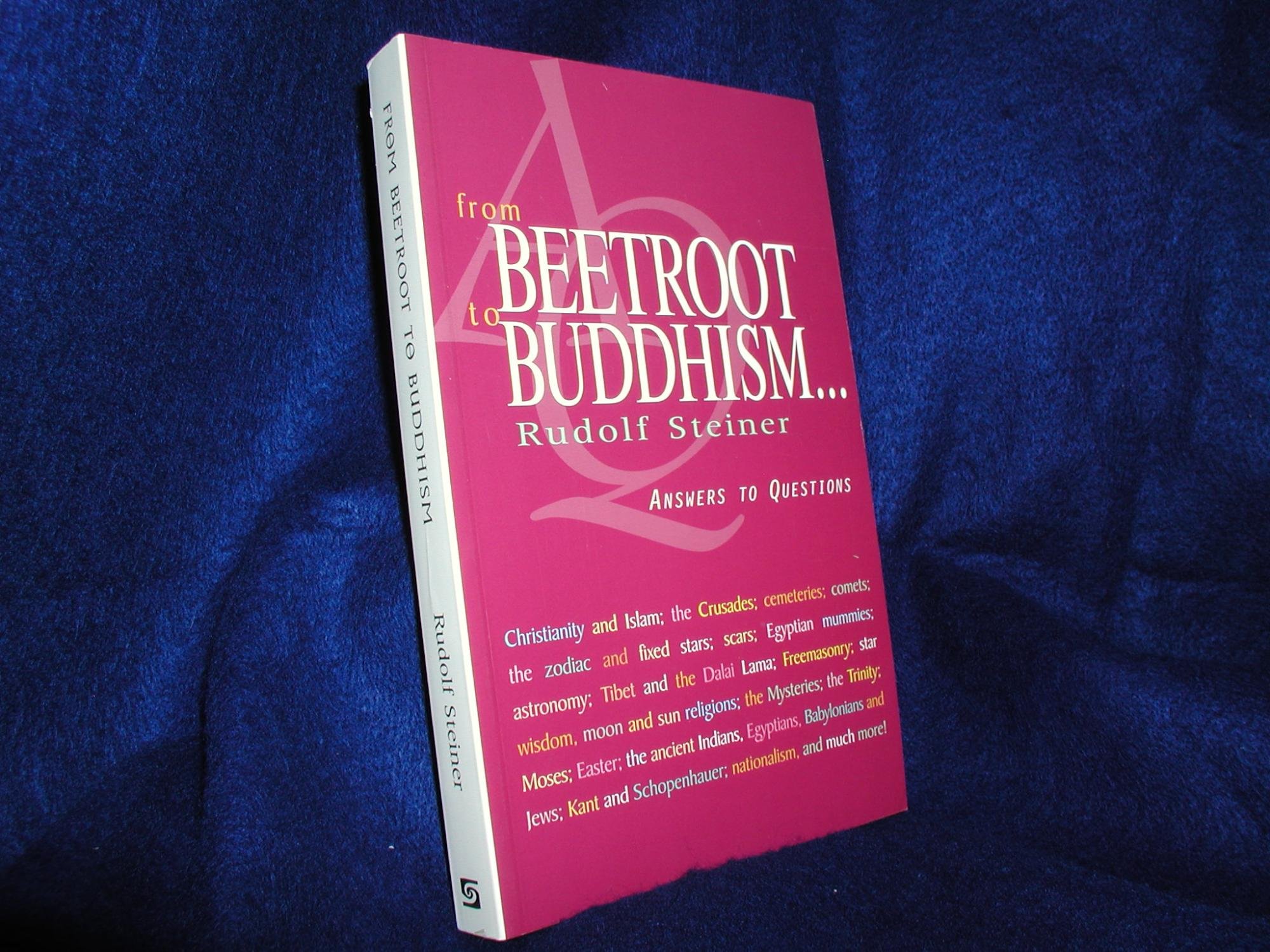 From Beetroot to Buddhism: Answers to Questions