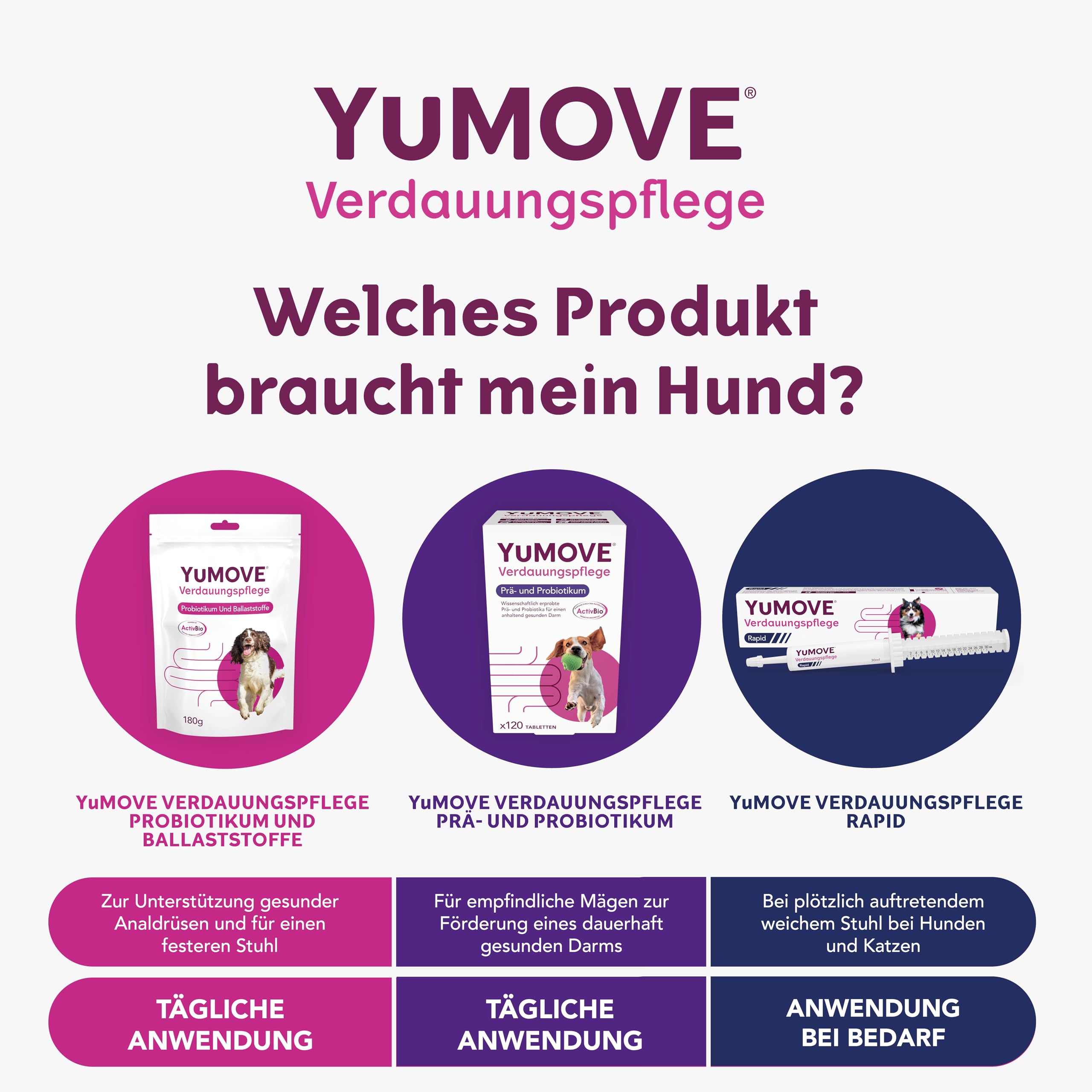 YuMOVE Probiotika Hund Tabletten - 120 Stück - Mit 200 Mio Guten Bakterien Enterococcus faecium & ActivBio Prebiotika MOS scFOS Beta-Glucane - Hund Darmflora Aufbauen & Natürliche Verdauungsbalance