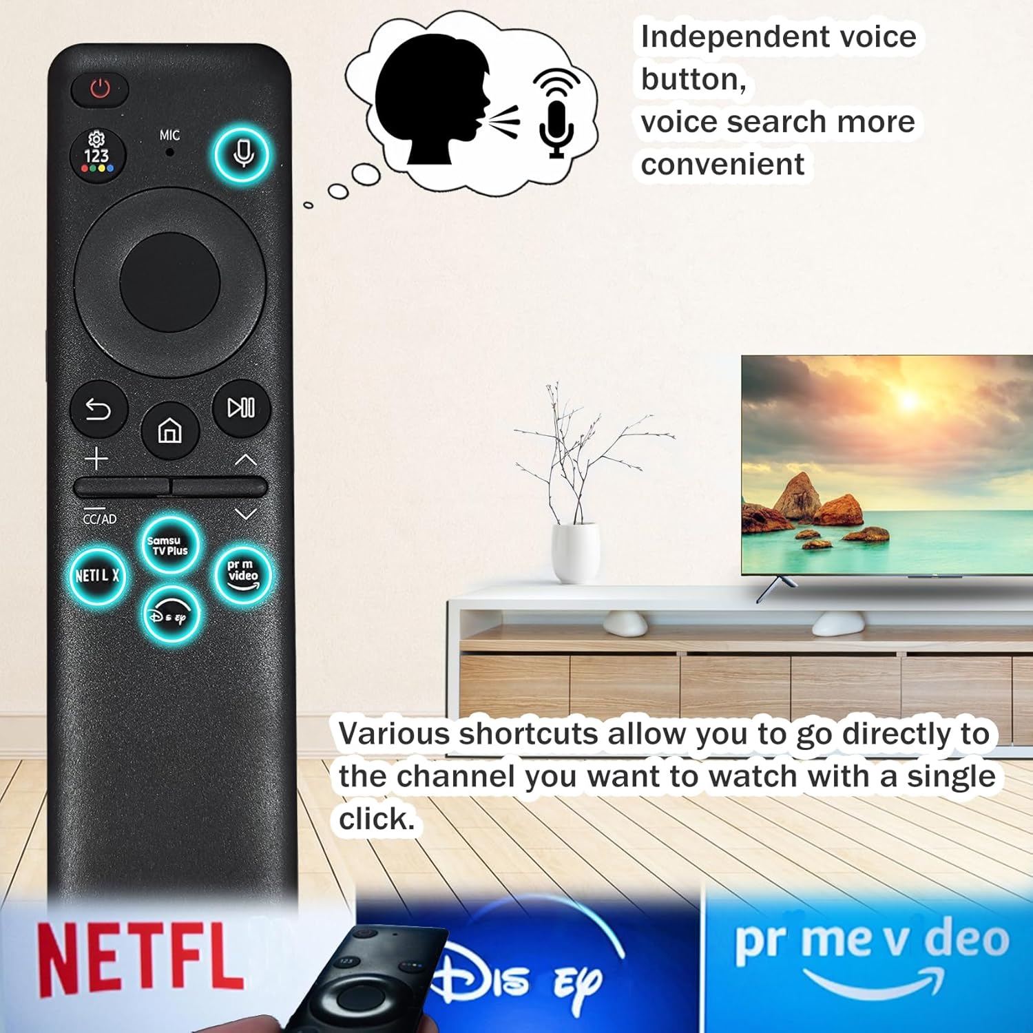 Image showing the voice control button and shortcut buttons for Netflix, Disney+, and Prime Video