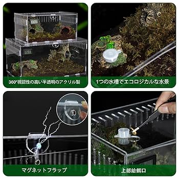 Amazon | 爬虫類 ケージ トカゲ ケージ カナヘビ飼育ケース