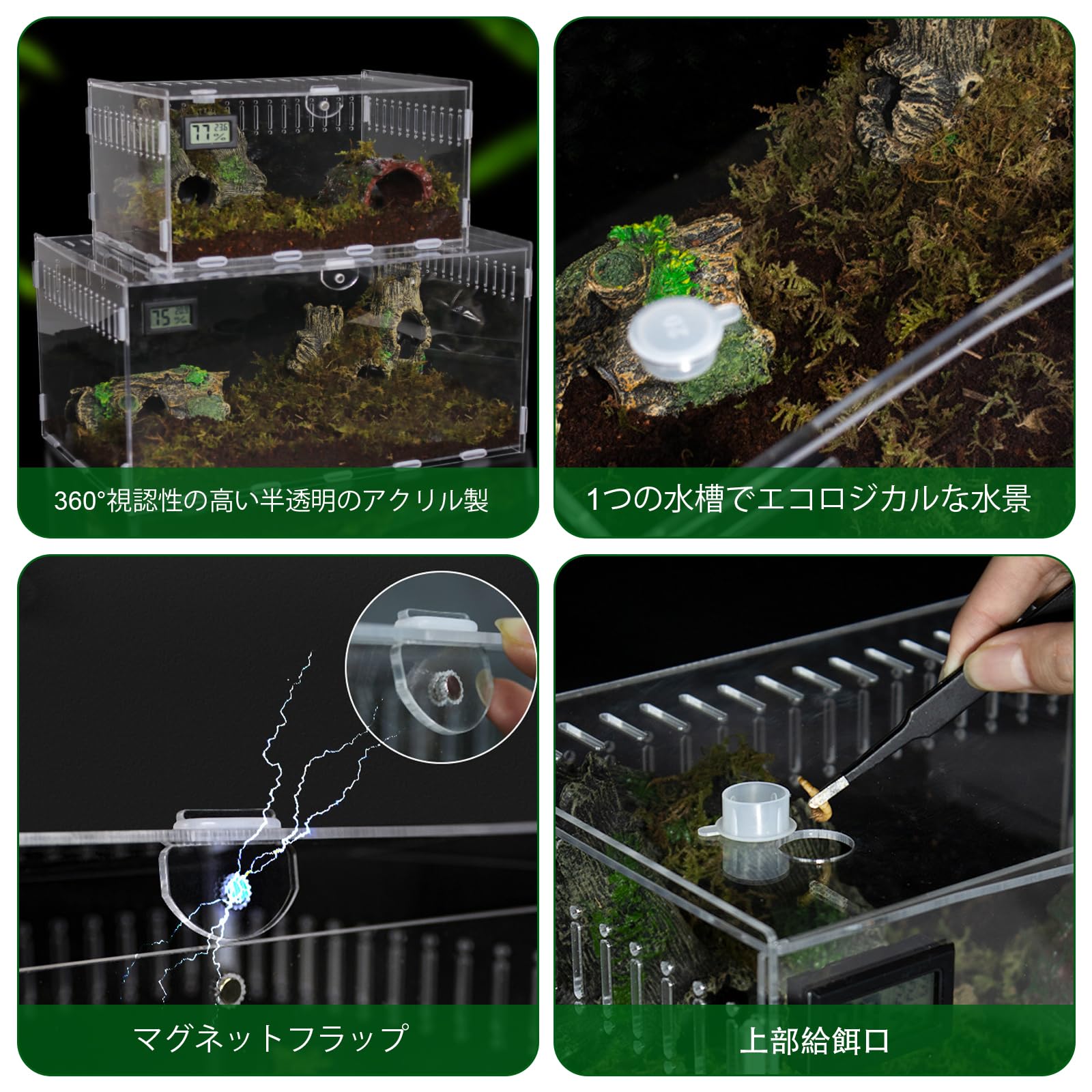 Amazon | 爬虫類 ケージ トカゲ ケージ カナヘビ飼育ケース レプタイル