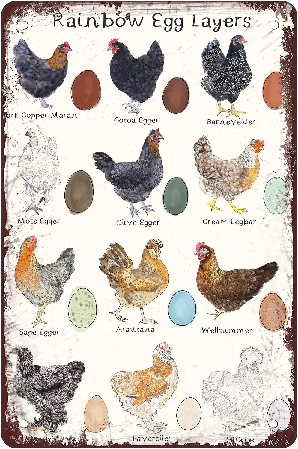 Amazon.com: ODKEADK Chicken Breeds with Egg Layers Metal Tin Sign