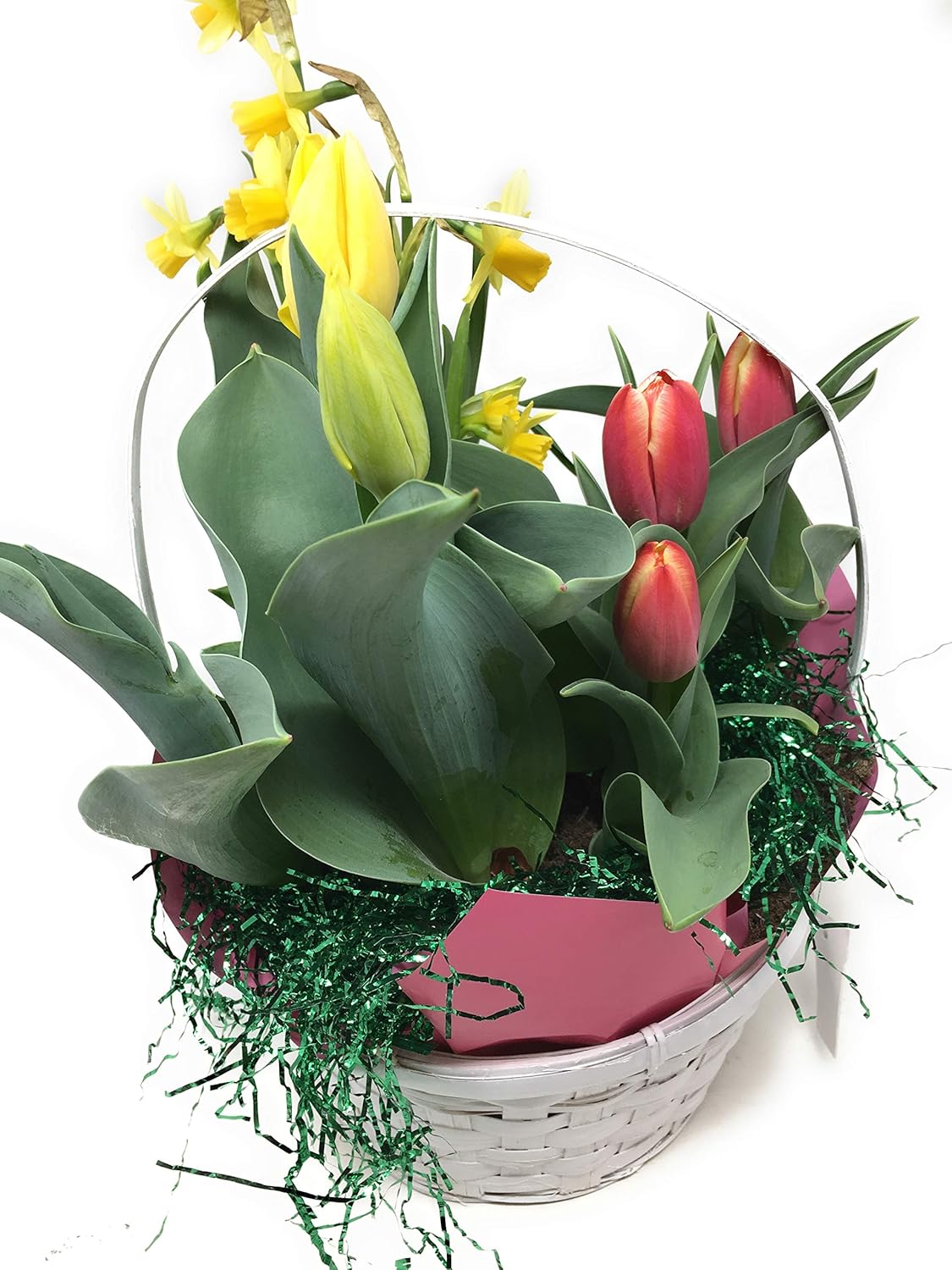 Dan Schantz Farms, Plant Easter Basket Garden 8 Inch