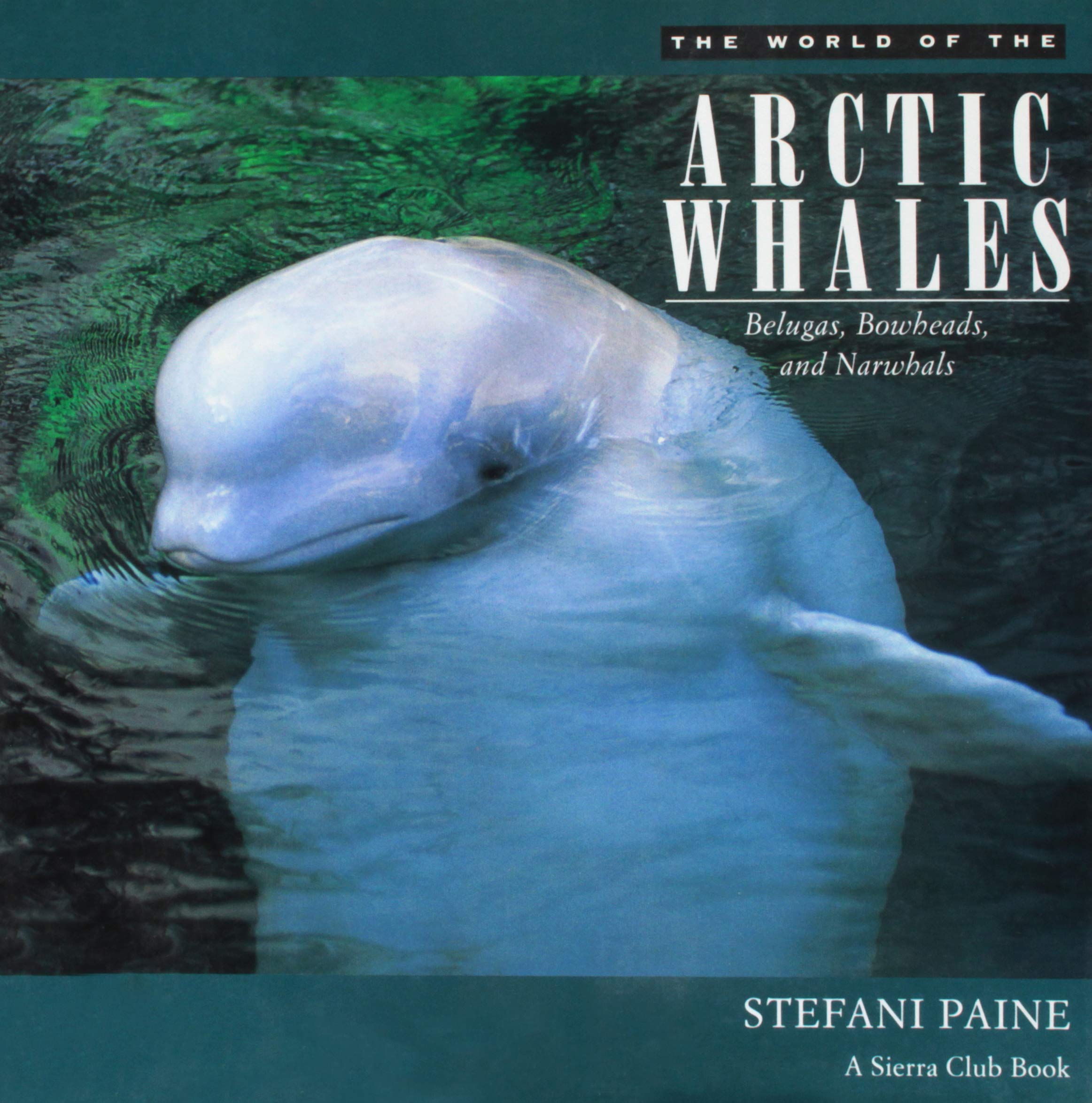 The World of the Arctic Whales: Belugas, Bowheads, and Narwhals
