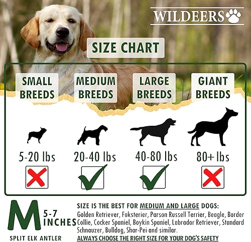 Miniatura 3 de Cuernos divididos para perros medianos, paquete de 2, fabricados en Estados Unidos, cuernos de alce de grado A, huesos masticables para razas