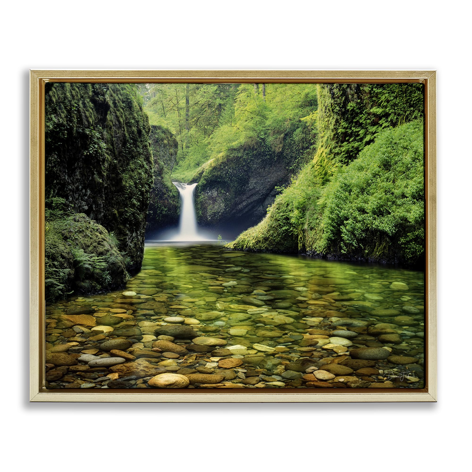 'Punchbowl Falls in Emerald Forest'| Floating Frame Canvas Art