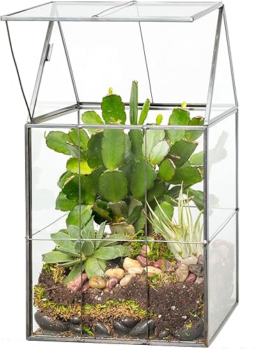 D'Eco - Terrario geométrico de vidrio para plantas (6 x 5 x 11), centro de mesa de otoño para suculentas, plantas de aire y musgo, decoración para