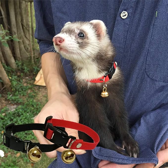 Ferret collars Outlet