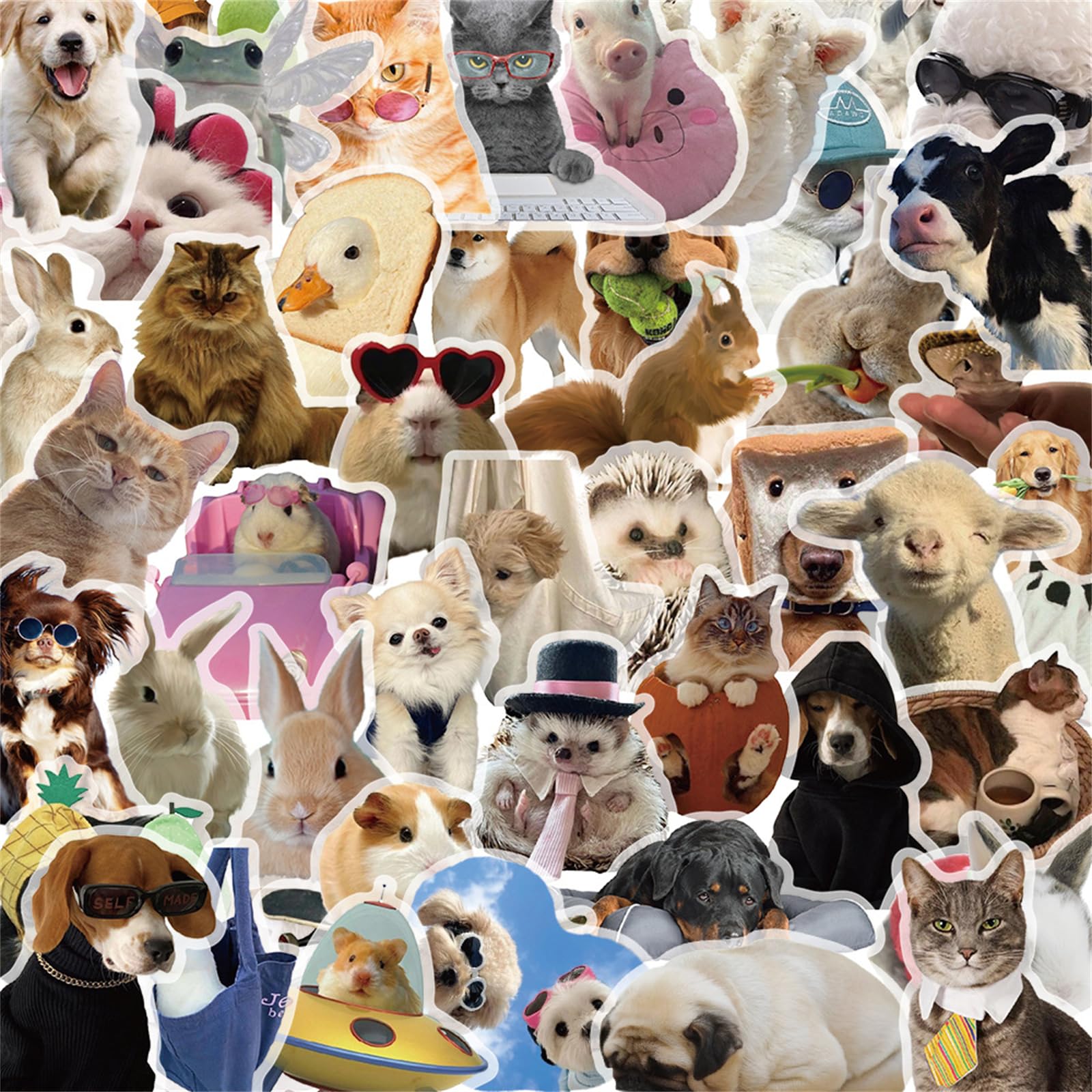 CDMEME-PET Lot de 50 autocollants transparents amusants en PET pour scrapbooking, journaux, cadeaux pour enfants et adultes, fabrication de cartes, lettres