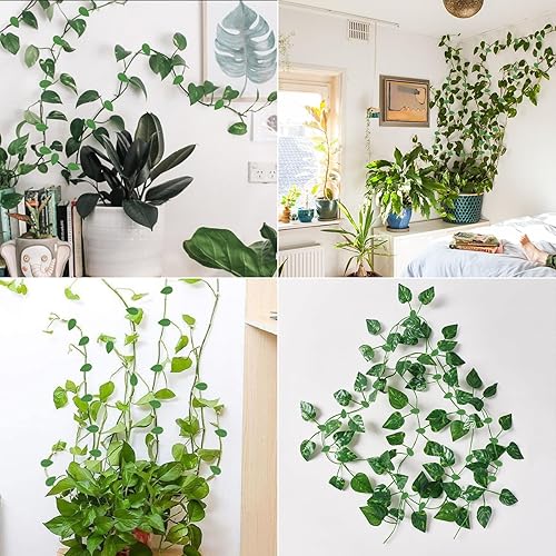Miniatura 6 de 60 clips de pared para trepar plantas, clips de plantas para vides, clips de plantas para plantas trepadoras, clips de pared para plantas, clips de