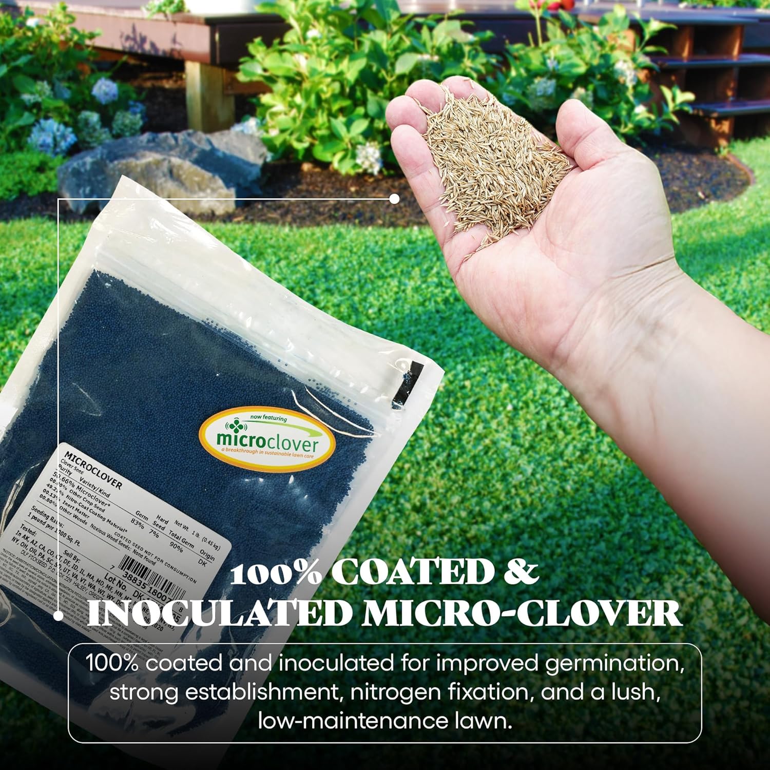 DLF Microclover Seed, Coated & Inoculated Mini Clover Mix, Shade Tolerant, No Mow, Low Grow Perennial Lawn Grass Alternative, Overseeding Resistant Drought-Tolerant - 1LB