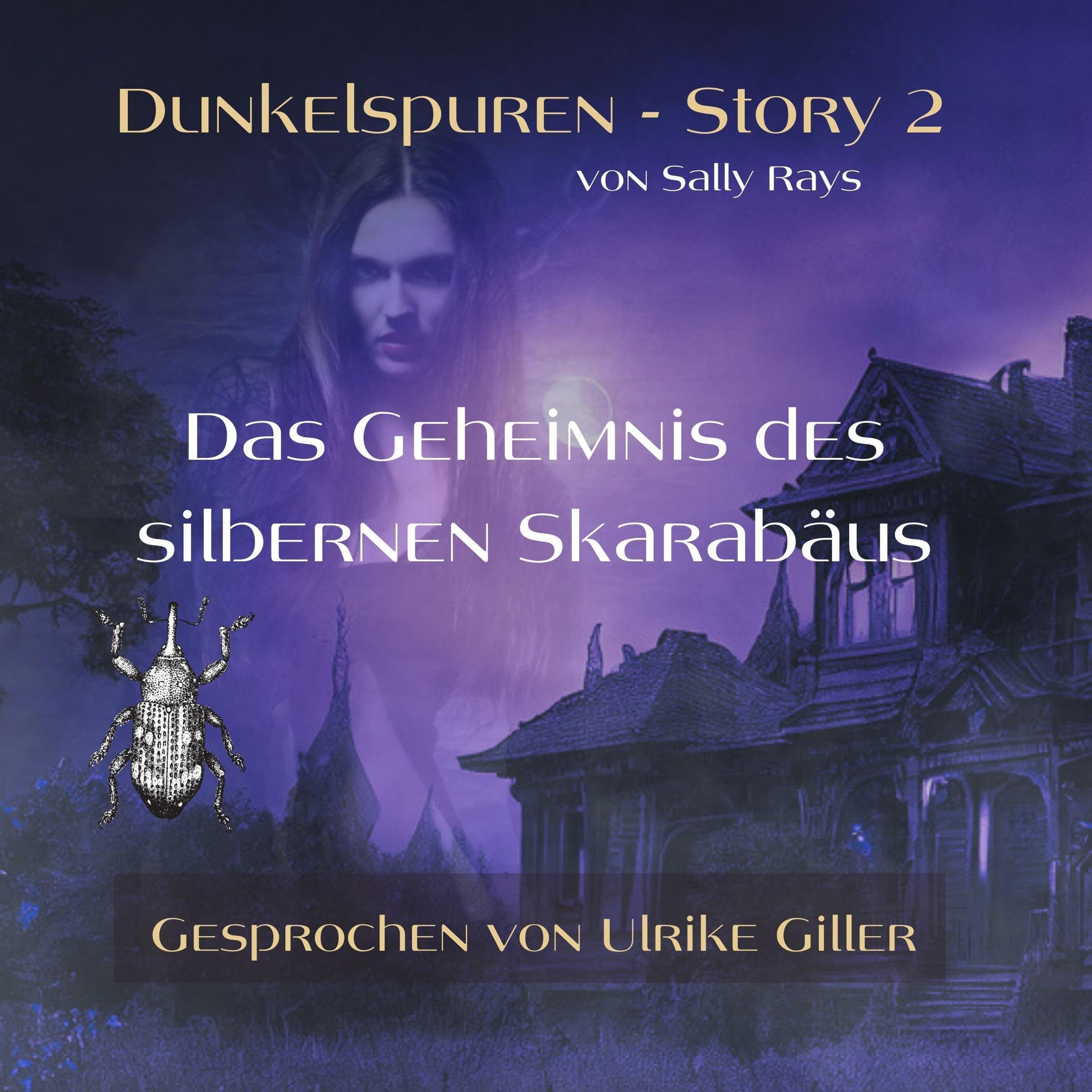 Cover art for Das Geheimnis des silbernen Skarabäus