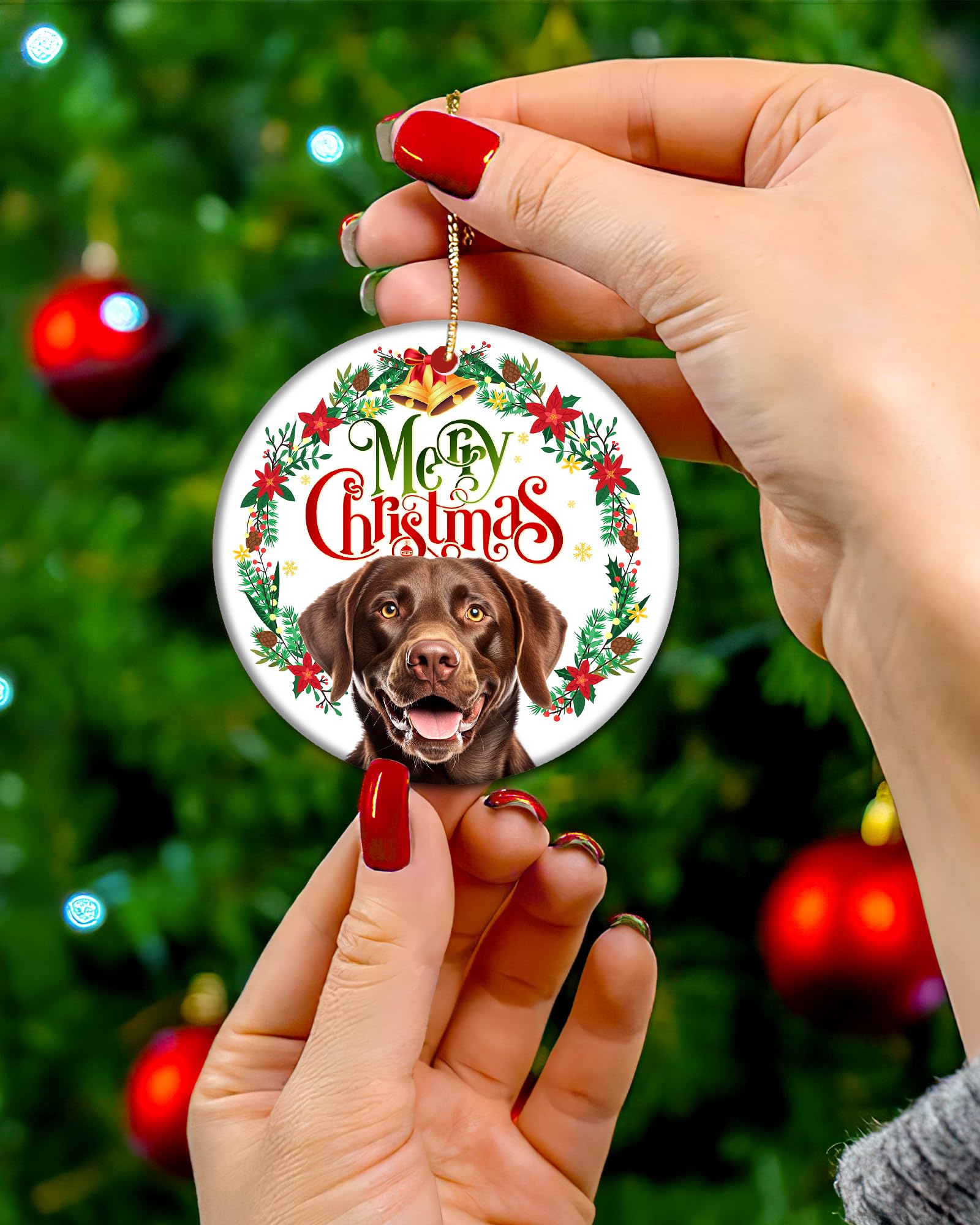 Photo libre de droit de Un Mignon Chiot Labrador Chocolat Avec Bonnet De Noël Attendant De