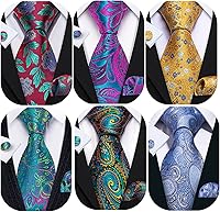 Barry.Wang 6PCS Men's Silk Tie Set with Pocket Square & Cufflinks - Paisley Stripe Patterns for Wedding Business Party