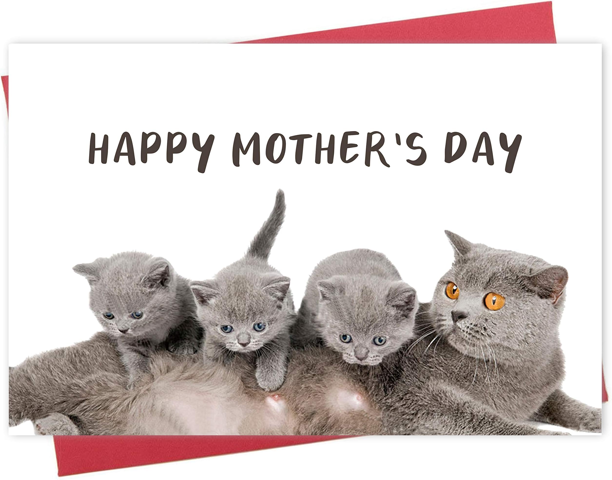 Gifts UK Cat Lover Pun Love Funny Mothers Day Card By Wee Blue Coo All ...