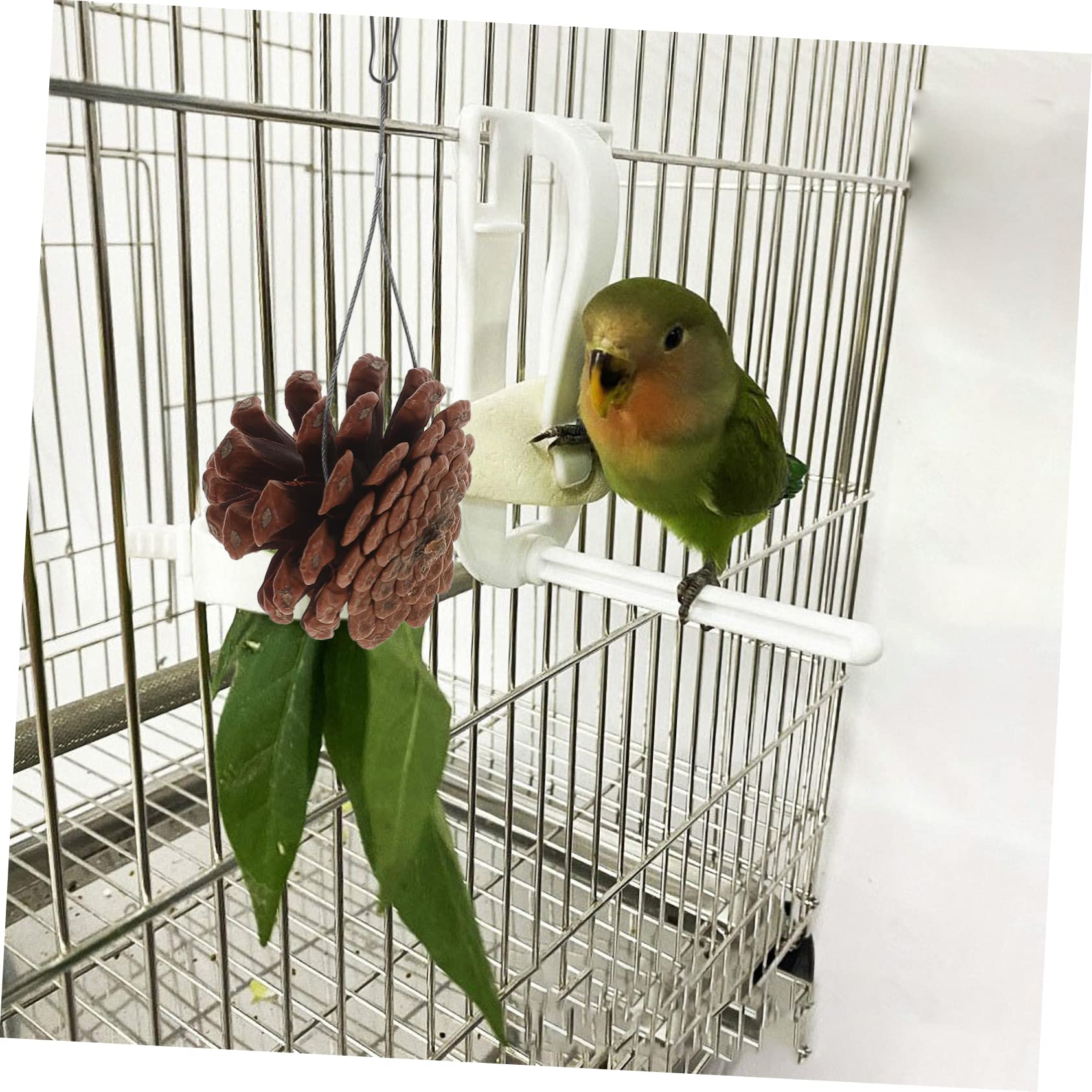 ABOOFAN 20pièces Jouet à Mâcher pour Oiseaux Pigne Naturelle Accessoire De Jeu Suspendu pour Perruches Et Cockatiels pour Forage Et Enrichissement