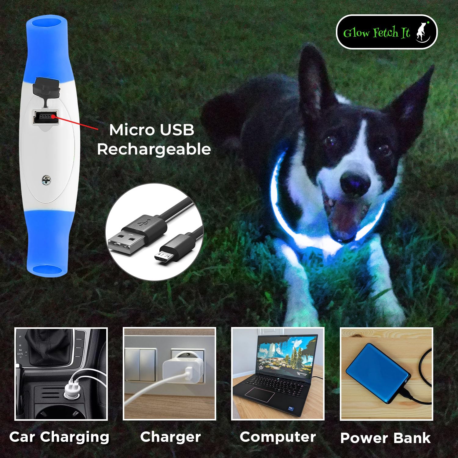 Collare per cani a LED regolabile con doppia illuminazione a 360 gradi, per passeggiate notturne, collana per cani ricaricabile con flash, si illumina al buio, collari impermeabili per