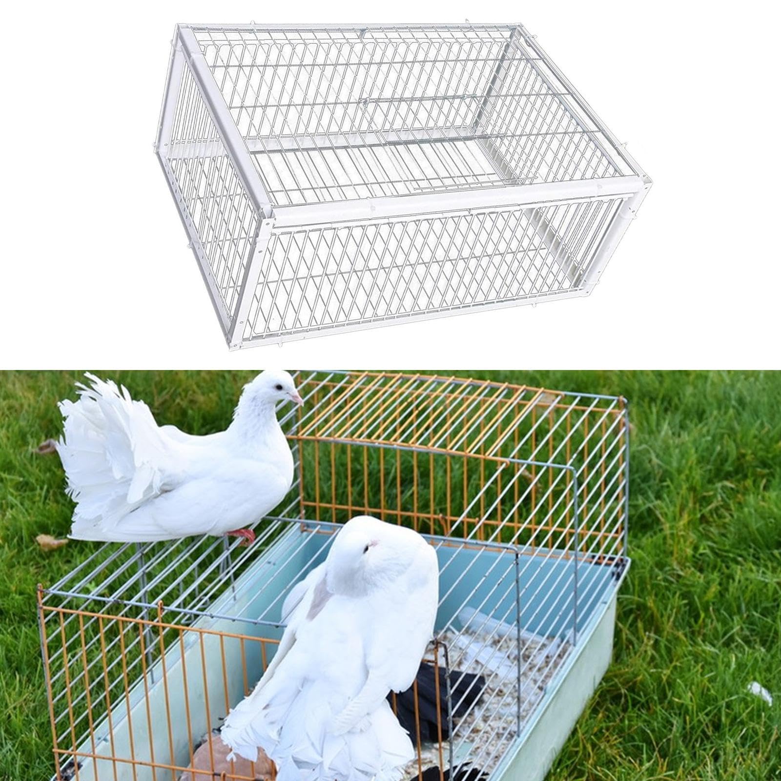 Jaula para Pájaros/Palomas, Caseta Grande, Entrada Sencilla, Estructura de Hierro Reforzado, Función de Controlado, Adecuada para Granjas, 4 Entrada