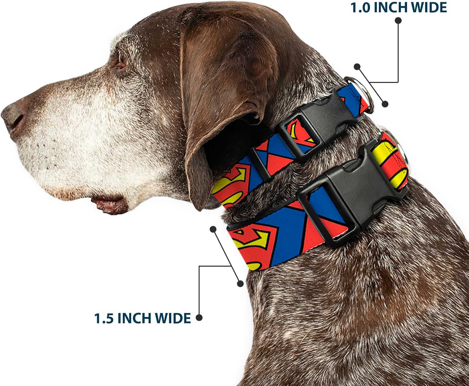 Buckle-Down Plastic Clip Collar - Superman Shield CLOSE-UP Blue/Red/Yellow - 1.5" Wide - Fits 18-32" Neck - Large