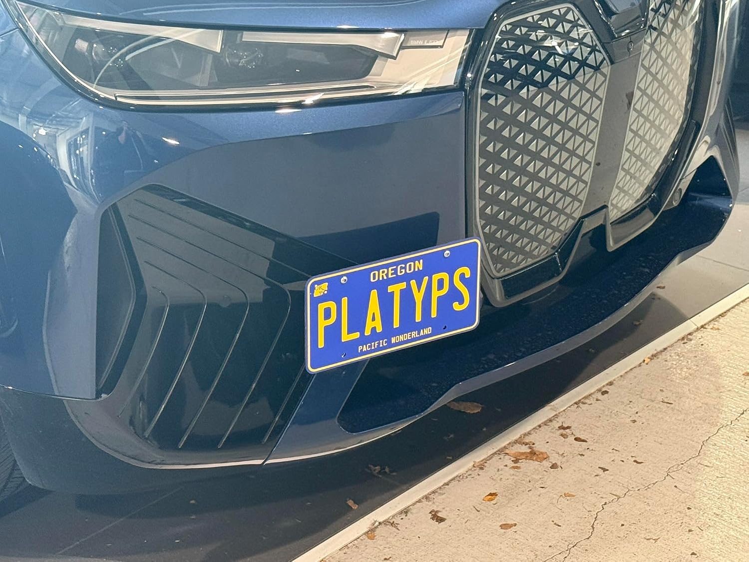 CravenSpeed Platypus License Plate Mount Compatible with BMW iX 2022-2026 [F48] | Not for M70 or M-Sport Bumper | No Drilling | Installs in Seconds | Made in the USA with Stainless Steel & Aluminum