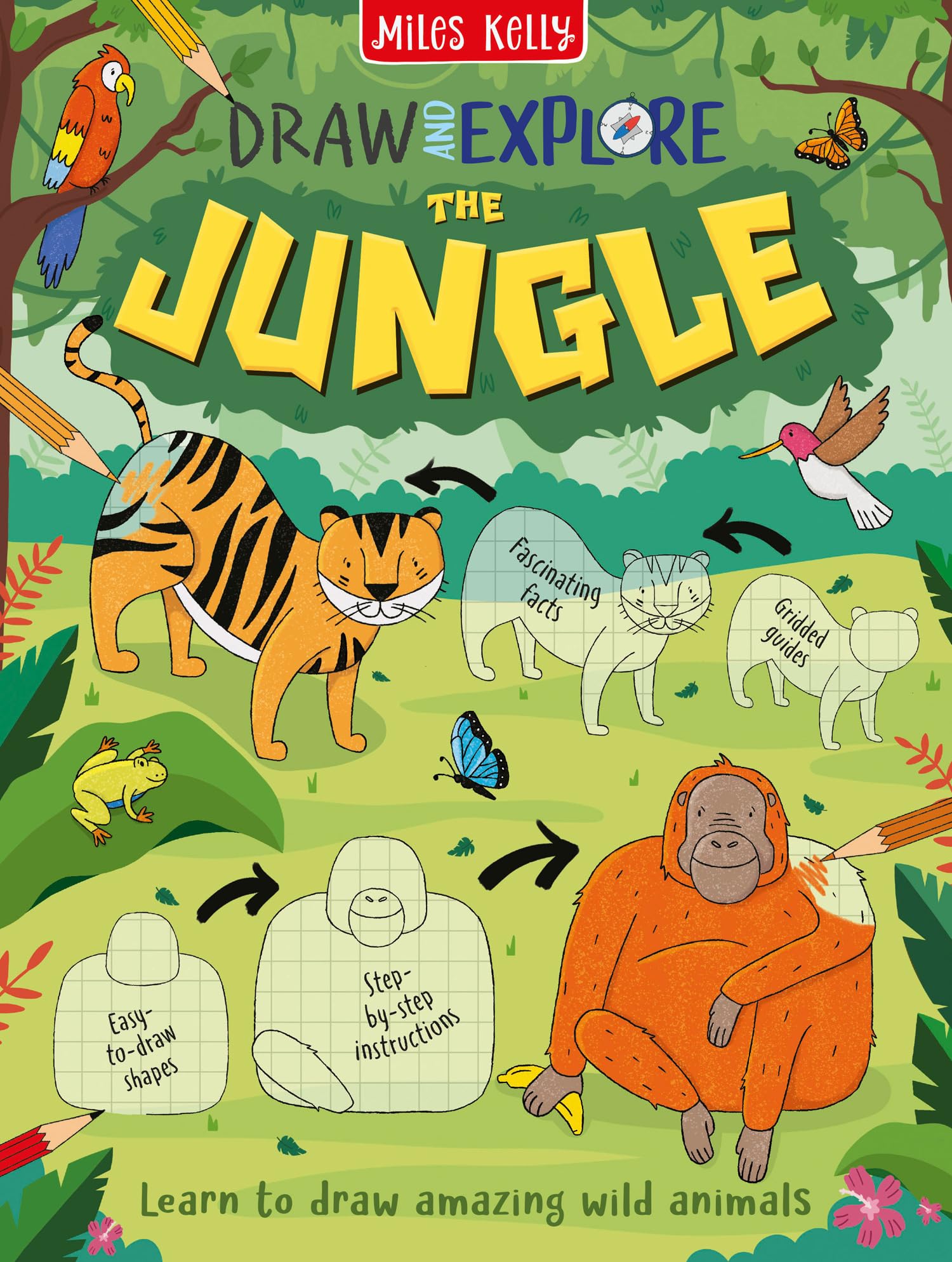 In The Jungle: Budding artists aged 5 and above can learn to draw a variety of iconic animals with these colourful, step-by-step guides. (Draw & Explore)