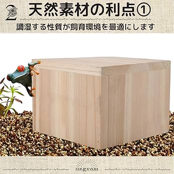 流木388　昆虫爬虫類　パルダリウム　ビオトープ　超美品シェルター　アク抜き済 流木388 昆虫爬虫類 パルダリウム ビオトープ 超美品シェルター