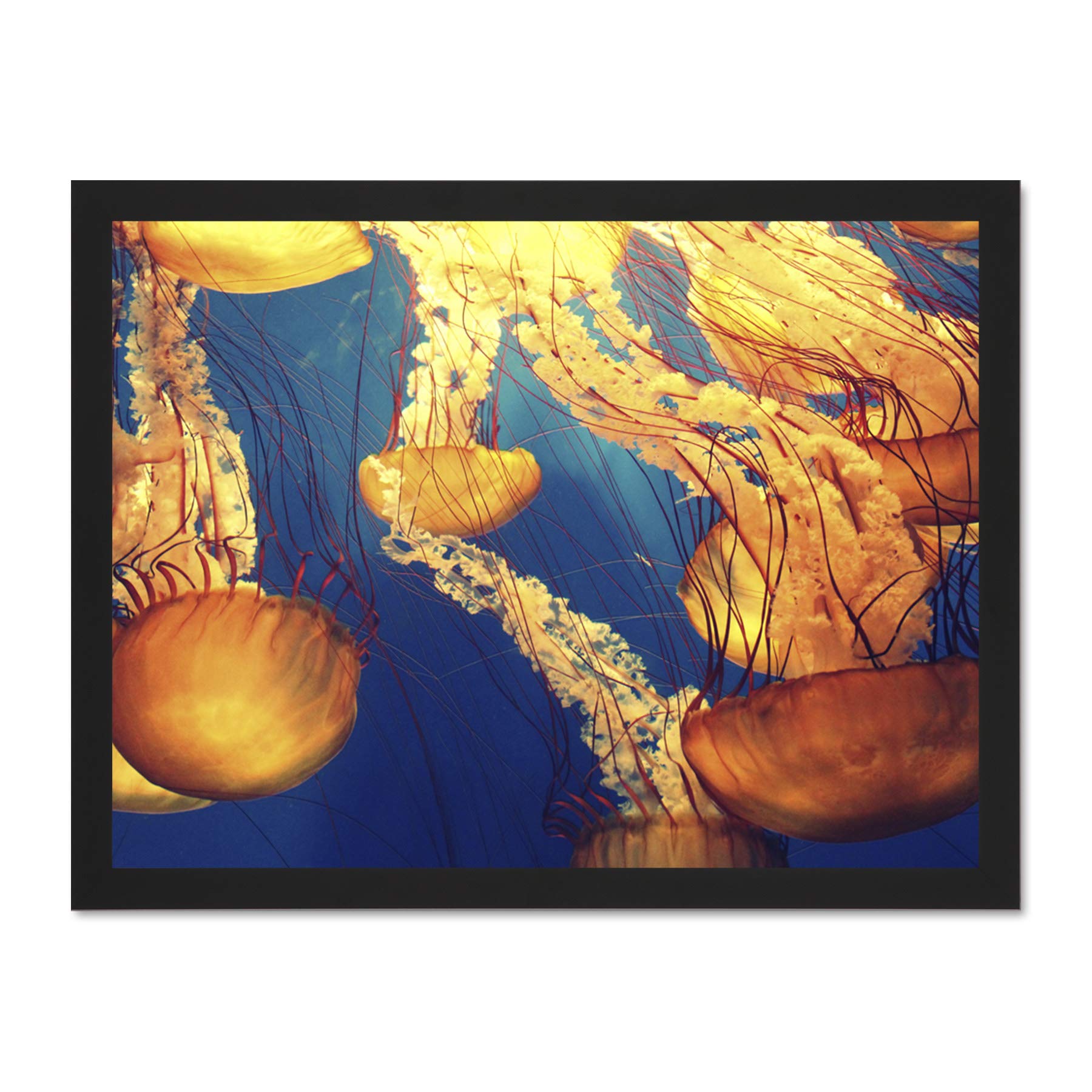 Jellyfish Group Underwater Ocean Large Framed Art Print Poster Wall Decor 18x24 inch