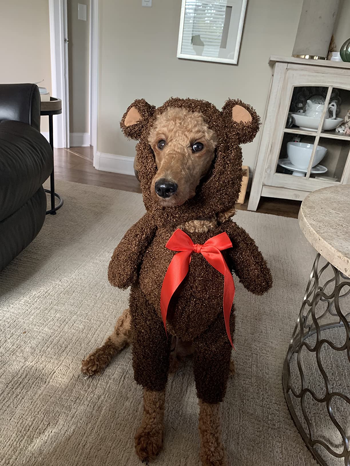 Bear Pet Costume