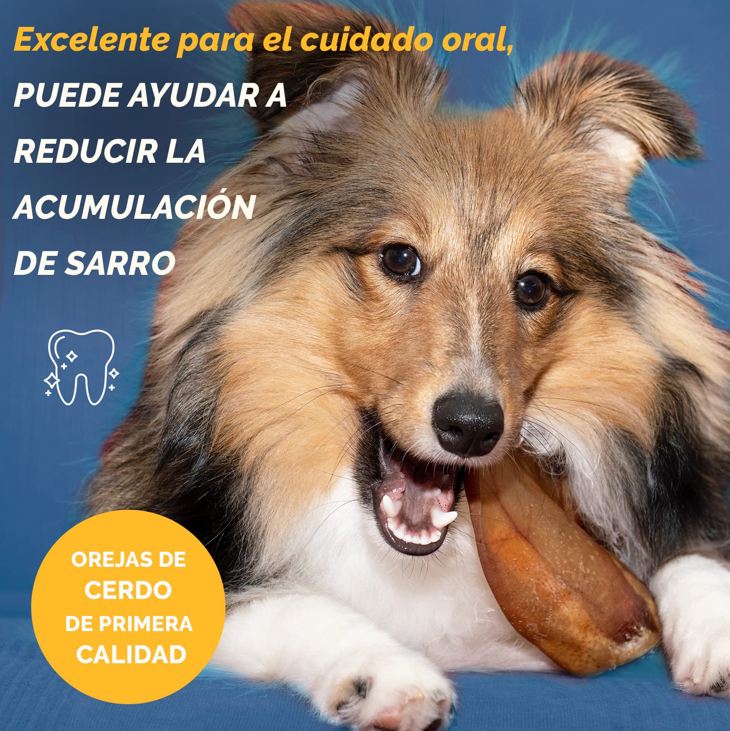 123 Treats Orejas de Cerdo Enteras para Perros masticables - Orejas de Cerdo 100% Naturales golosinas para Perros (100 Unidades)