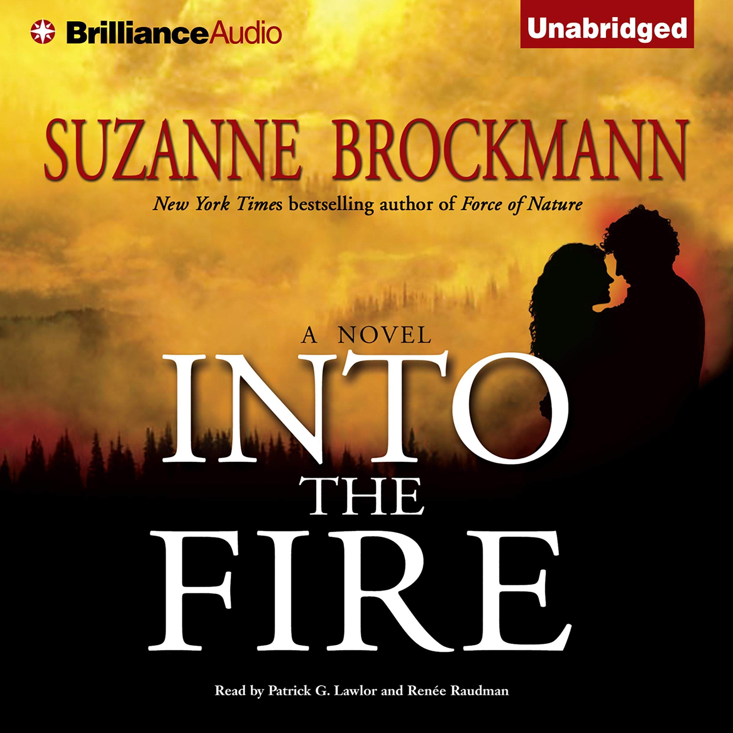 Cover art for Into the Fire