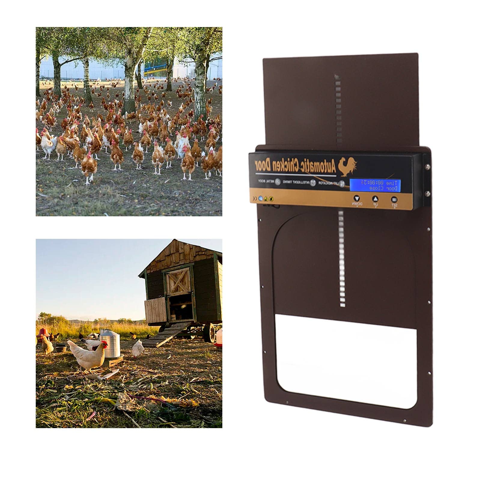 Porta Automatica per pollaio con Timer, Lega di Alluminio, LED, Display HD, Porta Automatica per polli alimentata a Batteria, per Fattoria (Marrone)