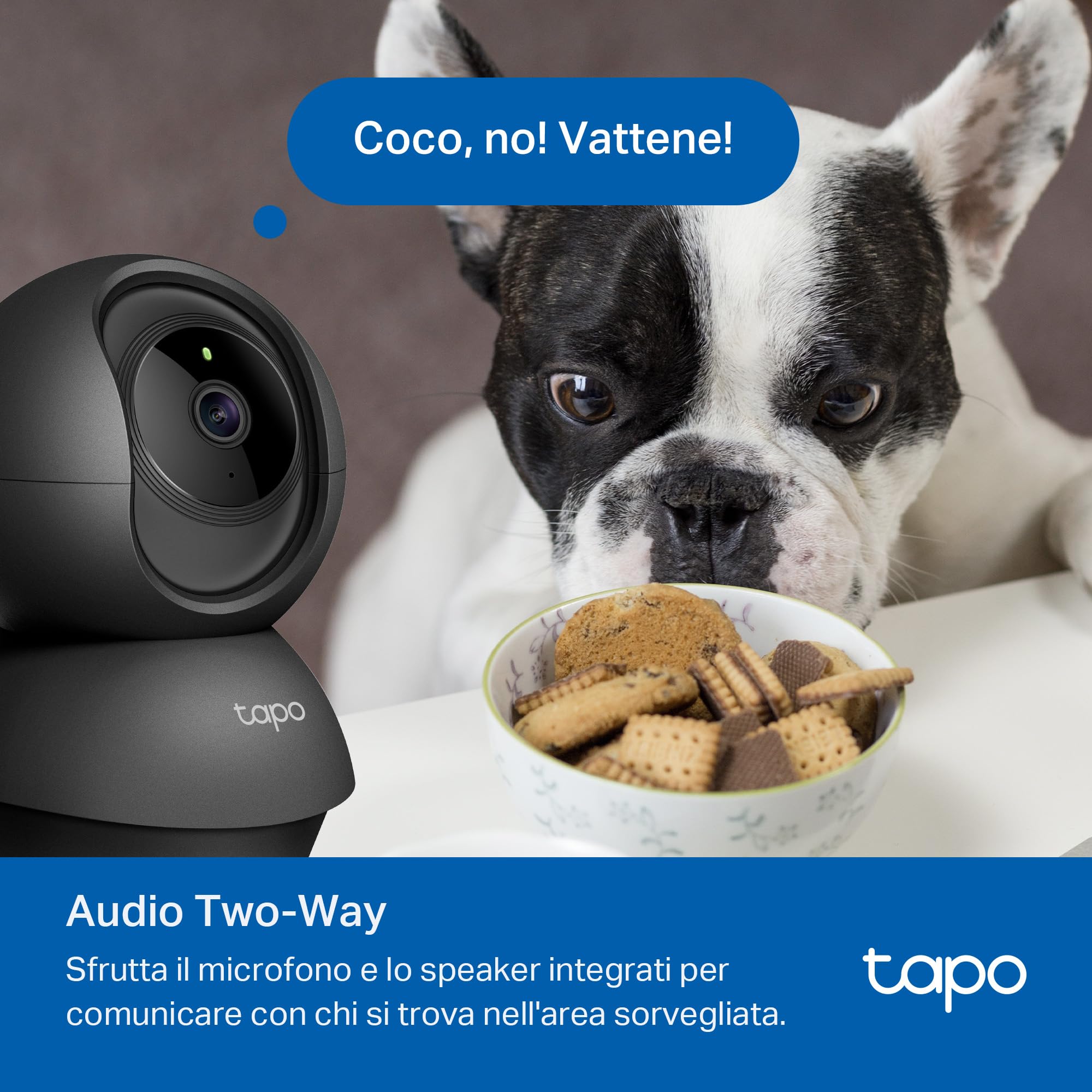 Tapo C201 Telecamera WiFi Interno FHD, Videocamera sorveglianza, Visione Notturna, 360° Visuale, Audio Bidirezionale, Rilevamento di movimento e notifiche, Allarme acustico e luminoso integrato, Nero