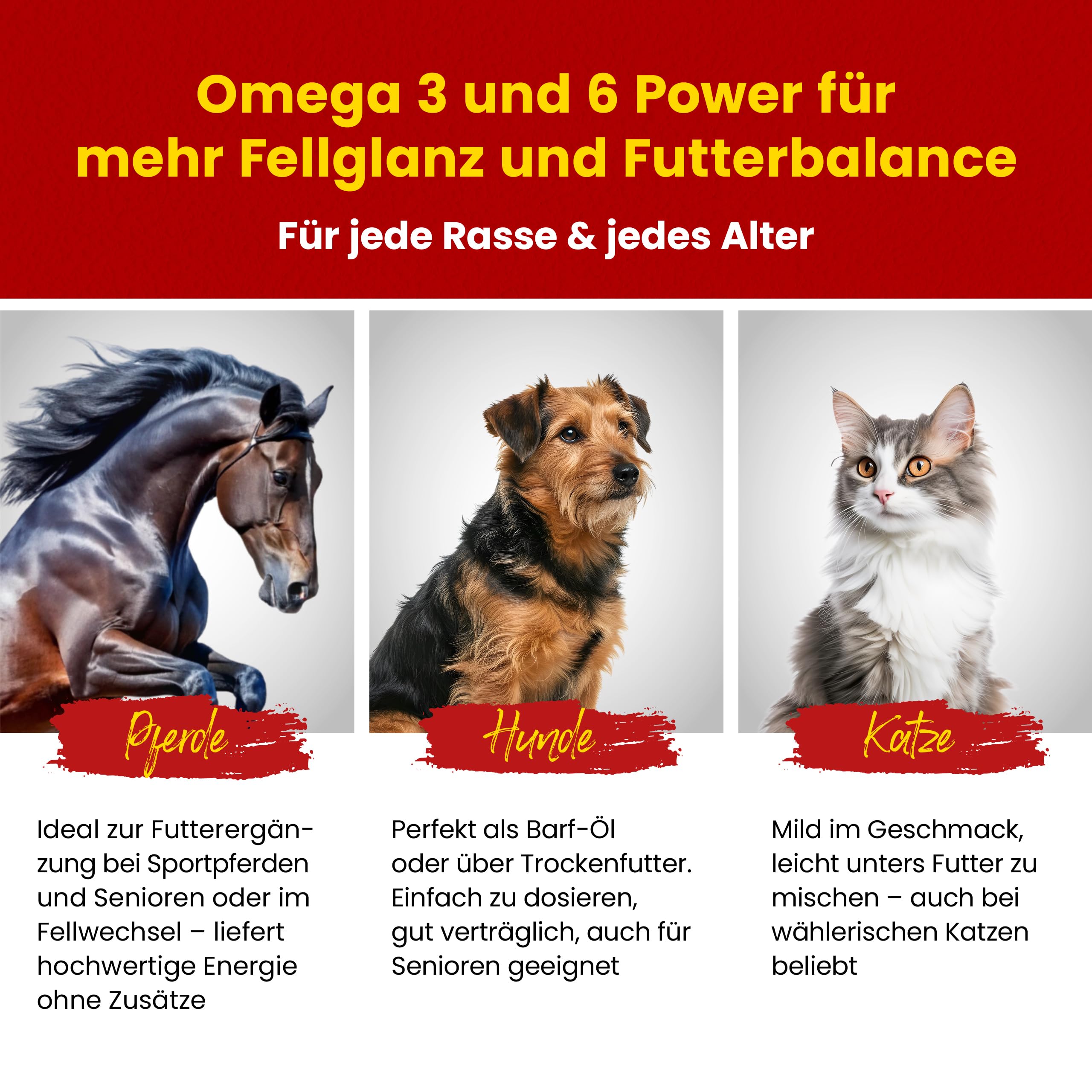 Scheidler horse-direkt Leinöl für Pferde, Hunde & Katzen 10 Liter – Mühlenfrisch kaltgepresstes Leinsamenöl ohne Zusätze – Reich an Omega 3 & 6 für Fellwechsel/Barf Öl – Aus Deutschland