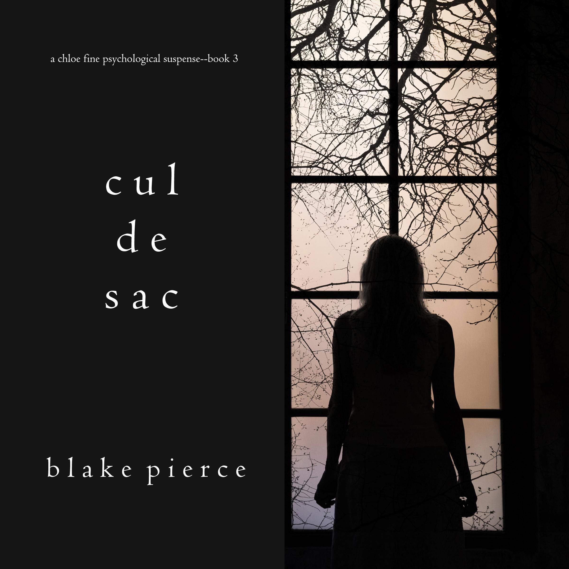 Cover art for Cul de Sac