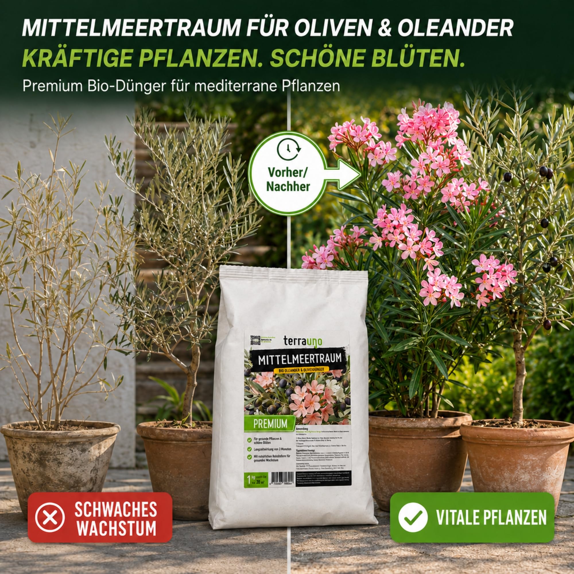 TerraUno Mittelmeertraum Olivenbaum & Oleander Dünger Bio 1 kg, für mediterrane Pflanzen, Zitrus & Palmen, Langzeitdünger mit Huminsäure, Organischer Volldünger Granulat