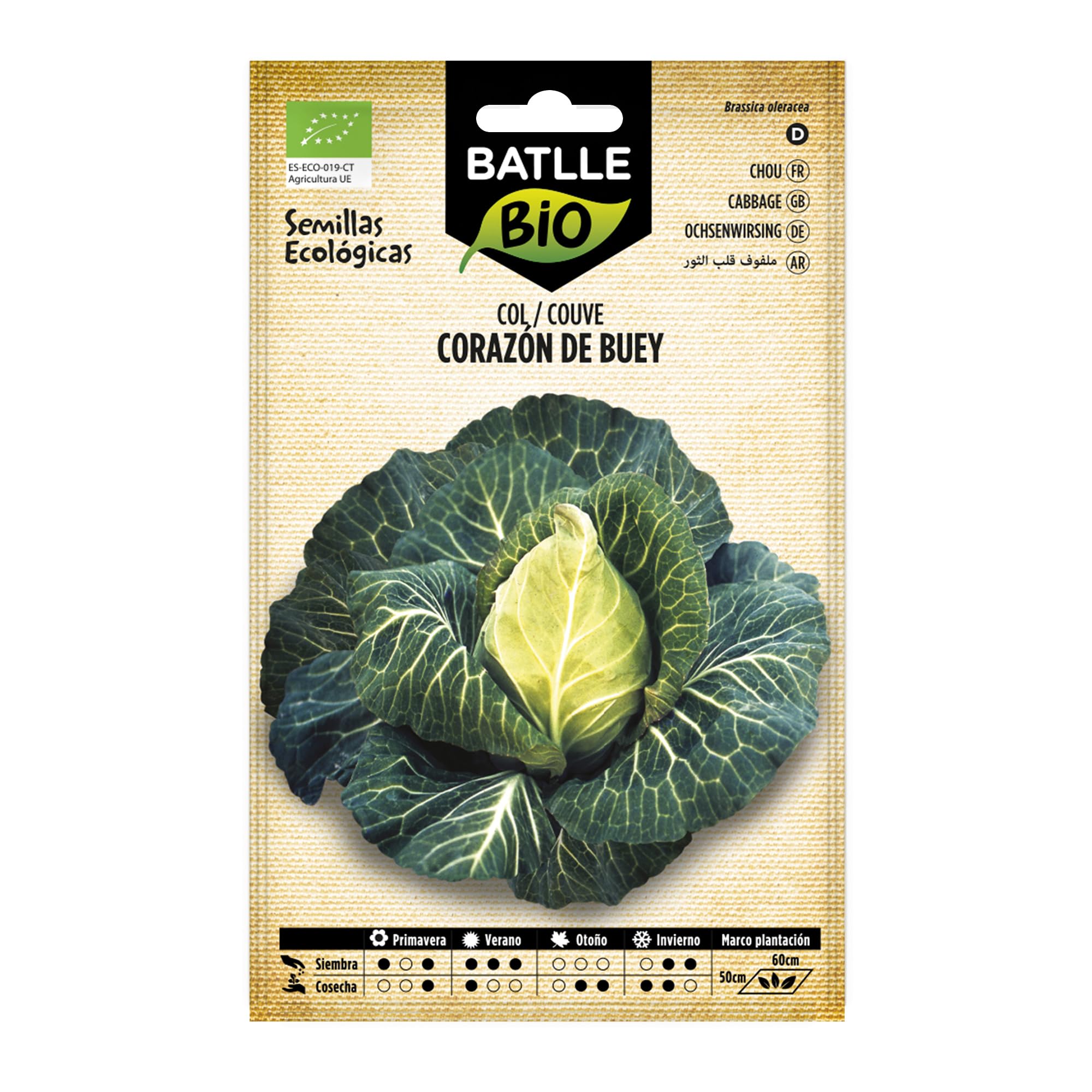 Col Corazón de Buey - ECO