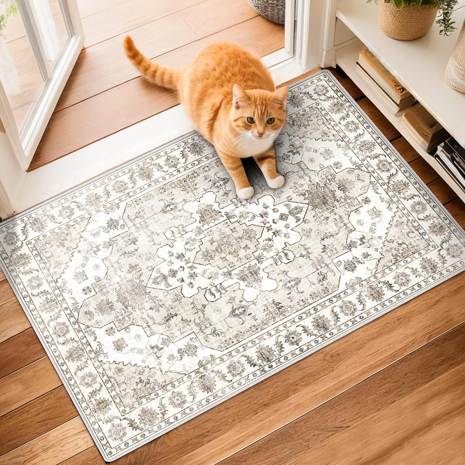 Small Rugs for Bedroom, 2x3 Washable Rug Non Slip, Entrance Rug, Boho Kitchen Throw Entryway Rugs Indoor Door Mat, Low Pile Distressed Carpet for Hallways, Entry